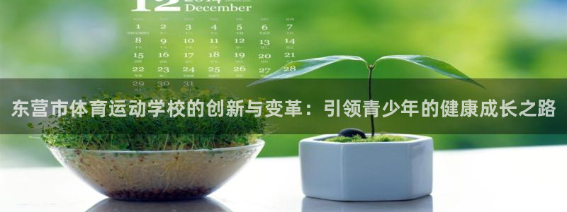 注册一竞技官方正版app：东营市体育运动学校的创新与