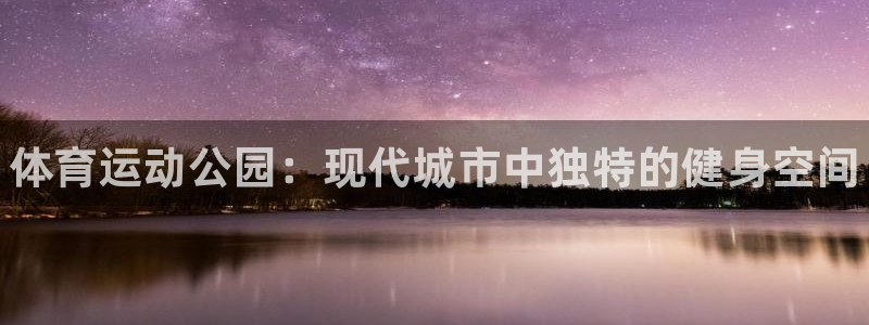 一竞技官方正版app集团简介：体育运动公园：现代城市