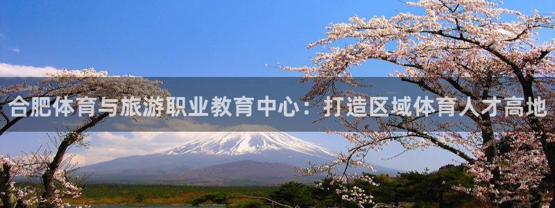 一竞技官方正版app开户：合肥体育与旅游职业教育中心
