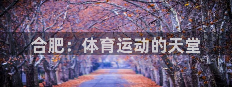 一竞技官方正版app娱乐网站：合肥：体育运动的天堂