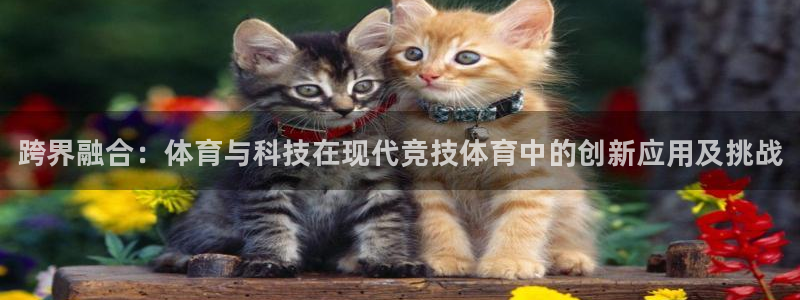 一竞技官方正版app官方：跨界融合：体育与科技在现代