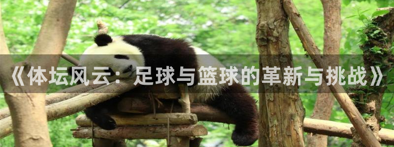 一竞技官方正版app娱乐是那个系列的台子：《体坛风云：足球与
