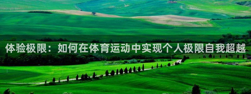 一竞技官方正版app娱乐首页网站大全：体验极限：如何在体育运