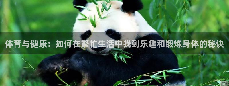 一竞技官方正版app新能源：体育与健康：如何在繁忙生活中找到