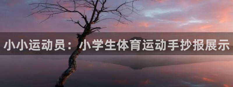 一竞技官方正版app娱乐：小小运动员：小学生体育运动