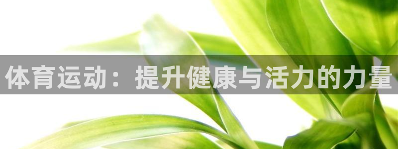 一竞技官网下载是干嘛的公司：体育运动：提升健康与活力