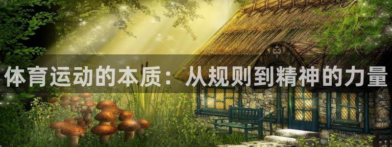 一竞技官方正版app集团官网网址：体育运动的本质：从规则到精