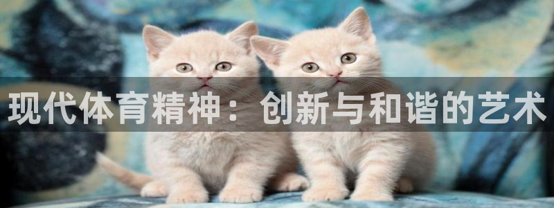 一竞技官方正版app神州：现代体育精神：创新与和谐的