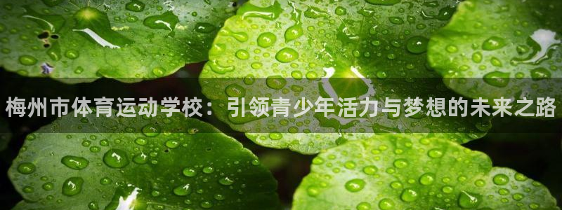 一竞技官网下载招商电话号码是多少
