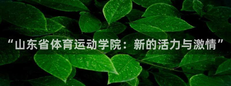 一竞技官网下载官方客服电话：“山东省体育运动学院：新
