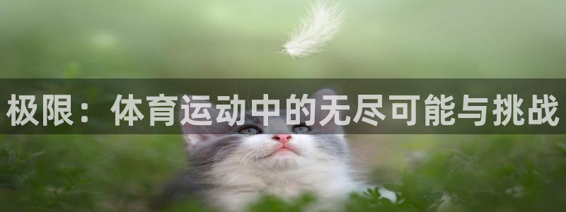 一竞技官网下载招商电话号码查询：极限：体育运动中的无