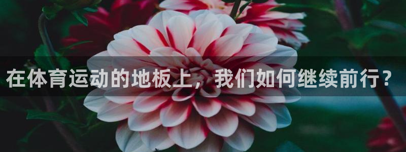 注册一竞技官方正版app：在体育运动的地板上，我们如