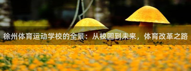 一竞技官方集团官网：徐州体育运动学校的全景：从校园到