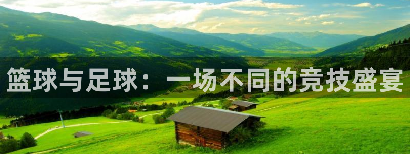 一竞技官方正版app集团：篮球与足球：一场不同的竞技