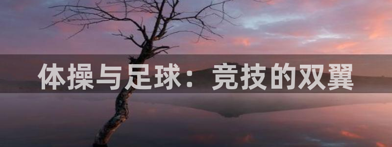 一竞技官方正版app娱乐是那个系列的台子：体操与足球