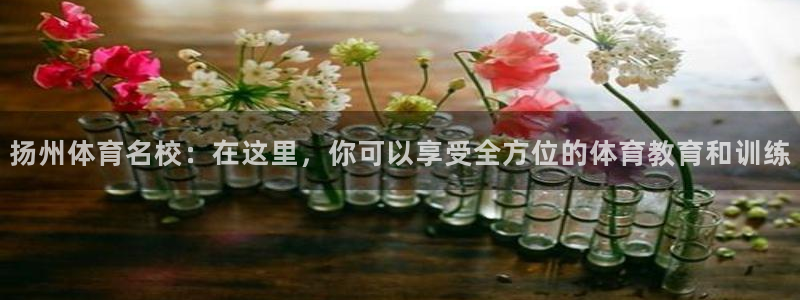 一竞技官方正版app开户：扬州体育名校：在这里，你可