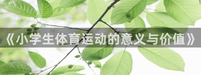 一竞技官网下载注册：《小学生体育运动的意义与价值》