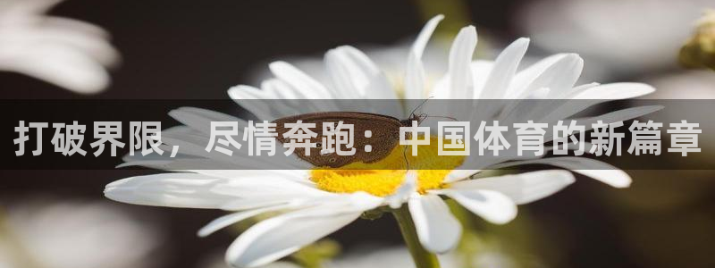 一竞技官网下载招商电话号码是多少号：打破界限，尽情奔跑：中国
