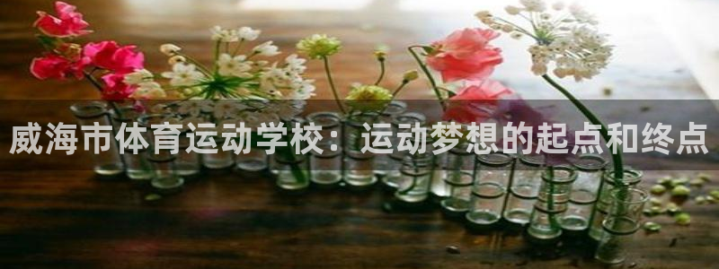 一竞技官方正版app神州：威海市体育运动学校：运动梦想的起点