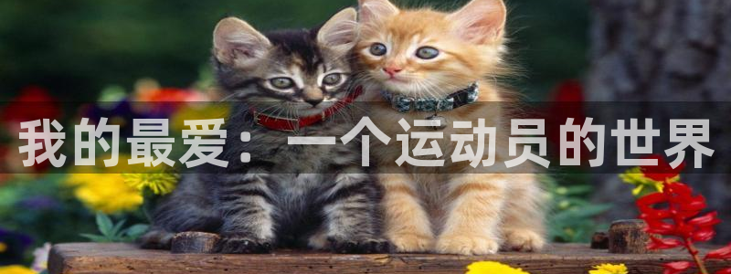 一竞技官网下载招商：我的最爱：一个运动员的世界