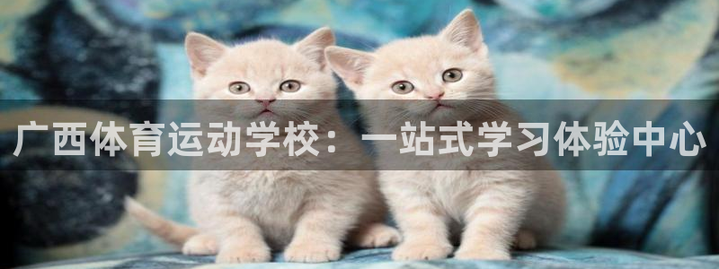 一竞技官方正版app五金厂