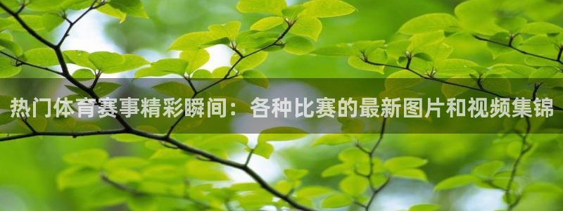 一竞技app下载