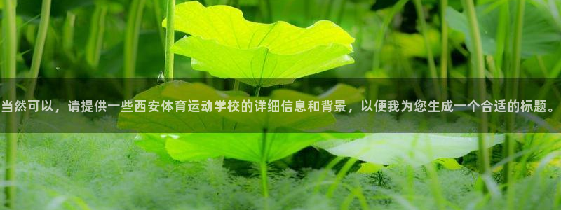 一竞技测速网站