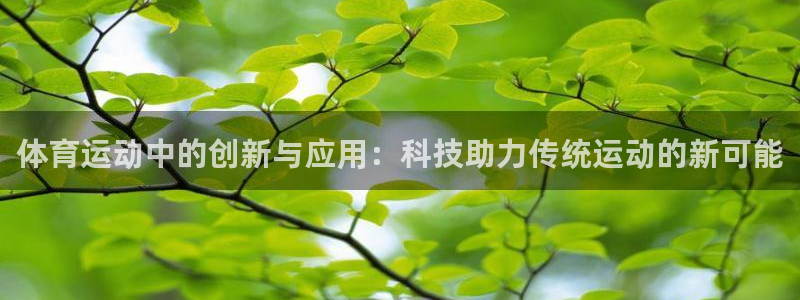 一竞技测速站网址：体育运动中的创新与应用：科技助力传统运动的