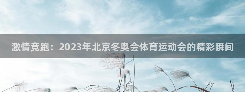 一竞技app官方入口：激情竞跑：2023年北京冬奥会体育运动