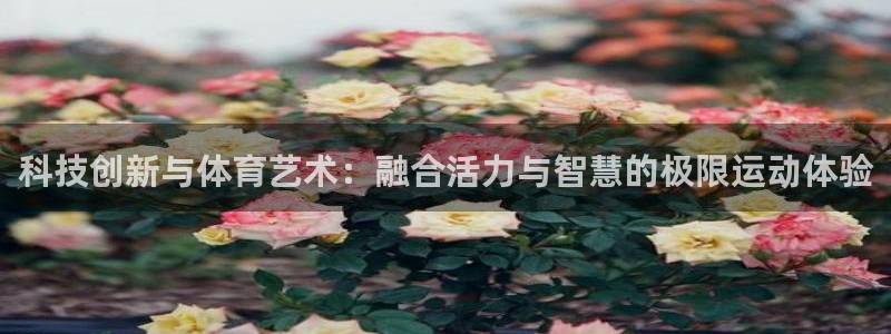 一竞技官网下载安装