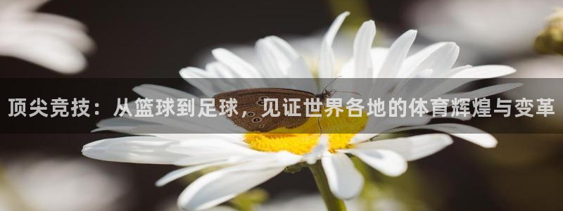 一竞技官网测速入口登录