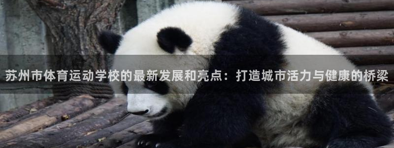  一竞技官网游戏平台：苏州市体育运动学校的最新发展和亮点：打造