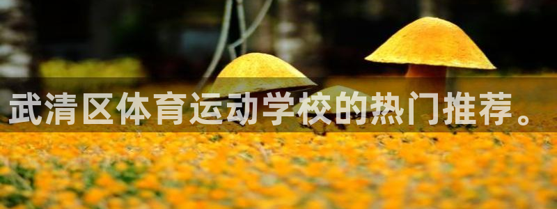  一竞技测速站：武清区体育运动学校的热门推荐。