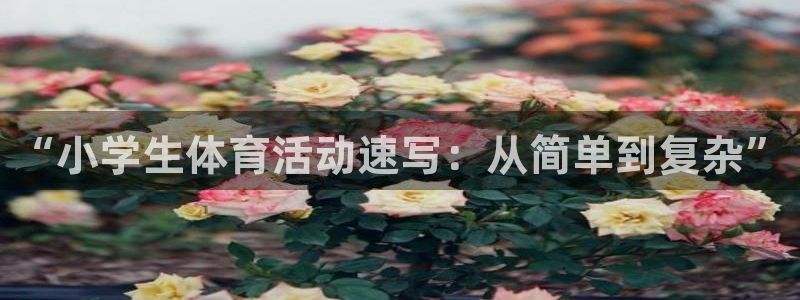  一竞技客服说账号异常：“小学生体育活动速写：从简单到复杂”