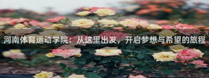  一竞技是什么平台：河南体育运动学院：从这里出发，开启梦想与希